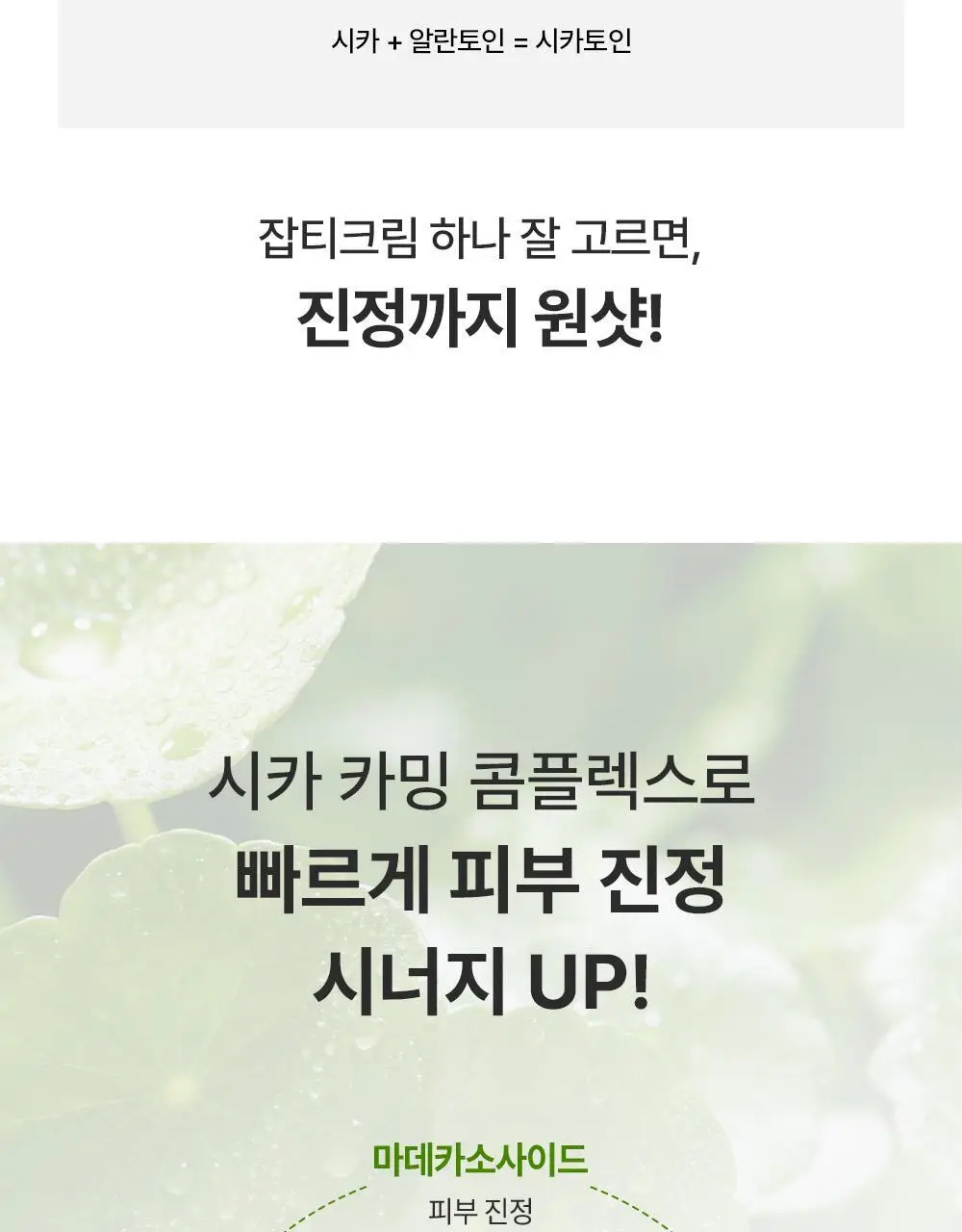 [잡티미백케어] 성분에디터 머루포도 비타 C 잡티크림 50g 상세페이지 88